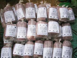 Seed Bags Manufacturer Supplier Wholesale Exporter Importer Buyer Trader Retailer in yamuna nagar Haryana India